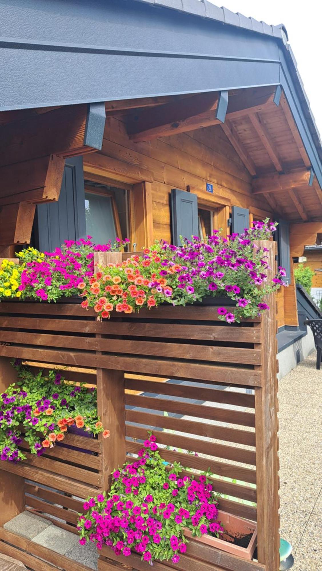 Hostal Alt'O Martinets Nendaz Exterior foto